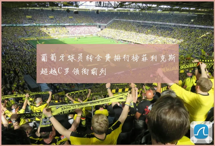 葡萄牙球员转会费排行榜菲利克斯超越C罗领衔前列