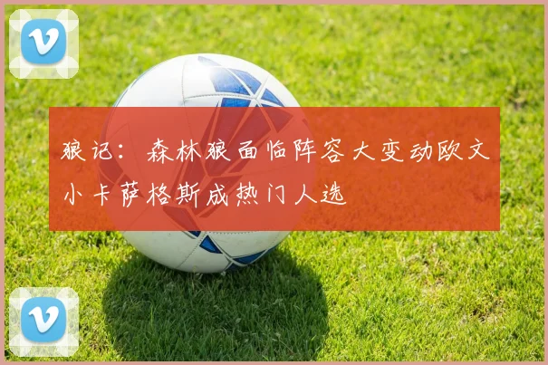 狼记：森林狼面临阵容大变动欧文小卡萨格斯成热门人选