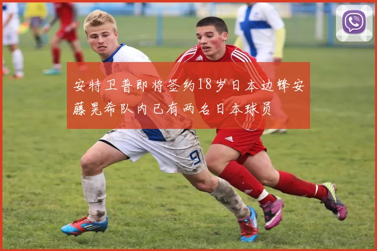 安特卫普即将签约18岁日本边锋安藤晃希队内已有两名日本球员