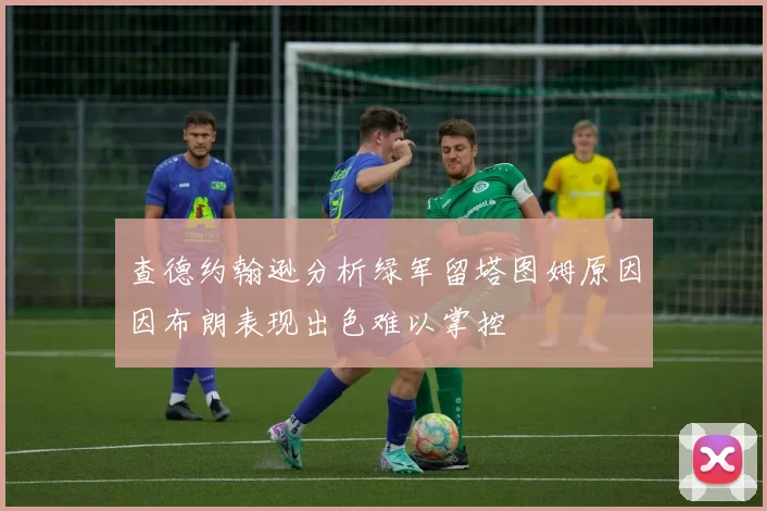 查德约翰逊分析绿军留塔图姆原因因布朗表现出色难以掌控
